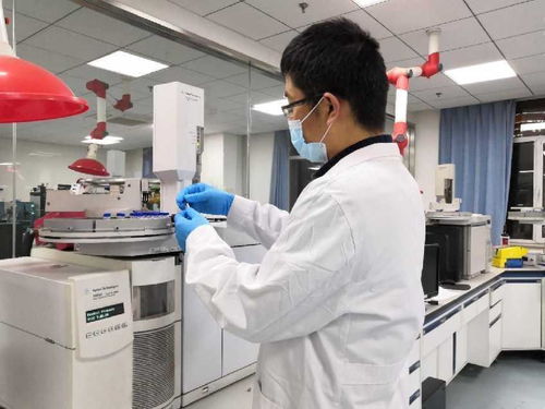 中國農科院發布三大領域重大成果 聚焦產品創制、技術突破與智庫報告，引領農業科技創新