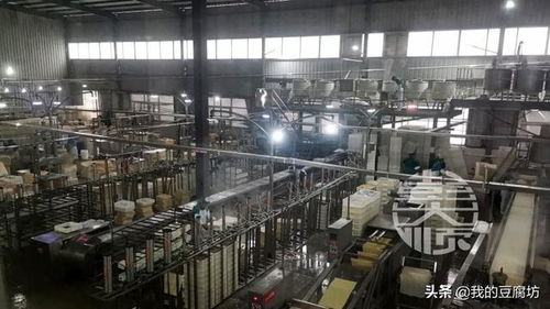 豆制品加工廠選址策略 兼顧生產(chǎn)需求與放射衛(wèi)生技術(shù)服務(wù)考量